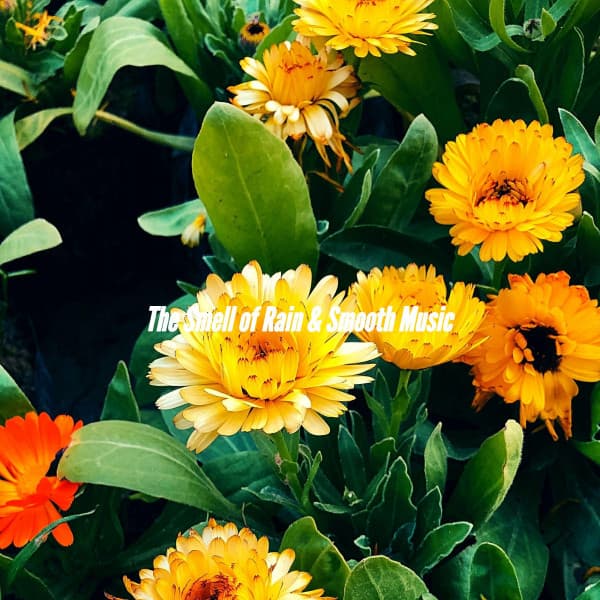 The Smell of Rain & Smooth Music - Vintage Cafe Playlist