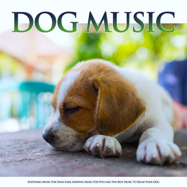Dog Music: Soothing Music For Dogs Ears, Sleeping Music For Pets and The Best Music To Relax Your Dog - Dog Music