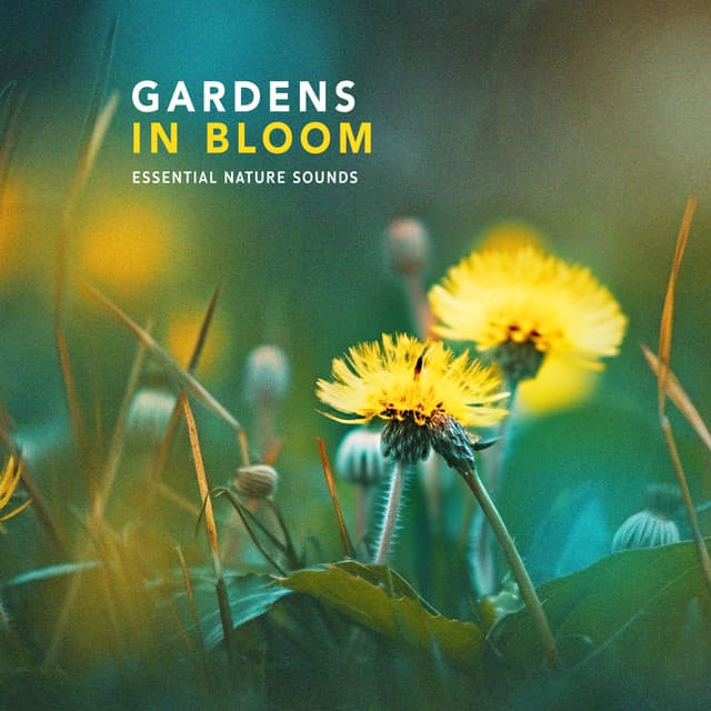 Gardens in Bloom - Essential Nature Sounds