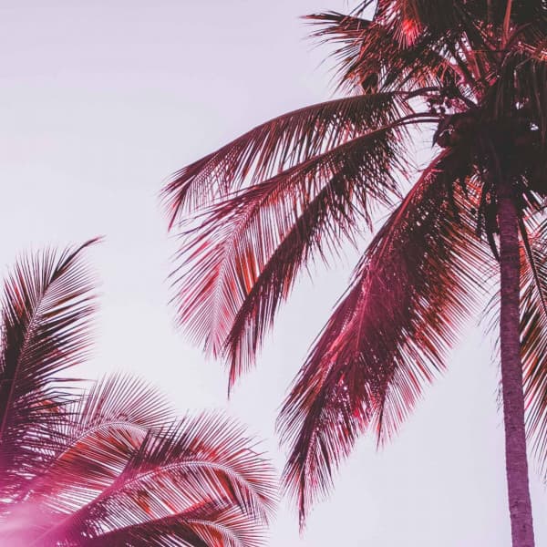 Feelings for Connected Images - Lofi Chill and Study