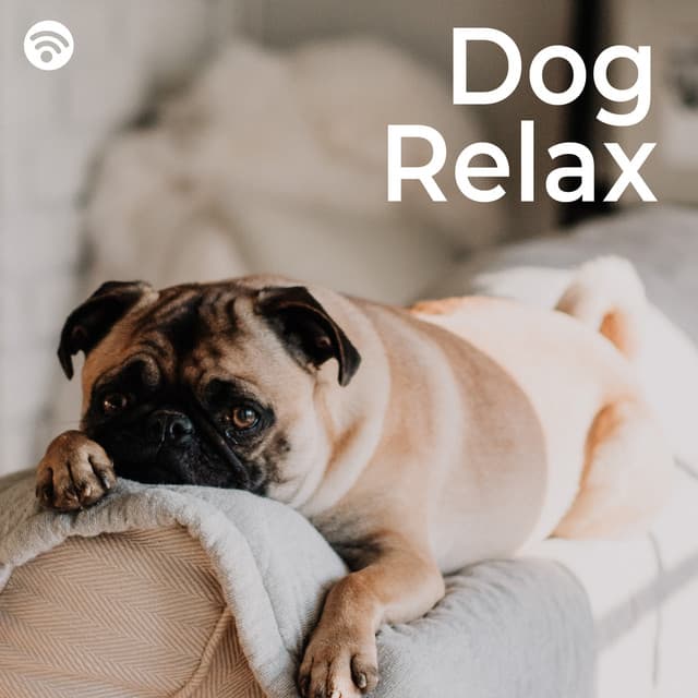 Music for Calming Dogs