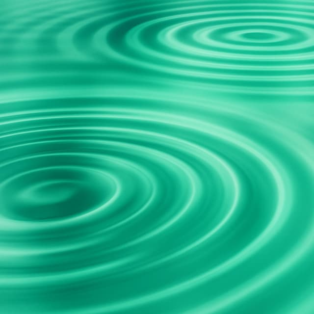 Zen i Vatten - Sergei Leif