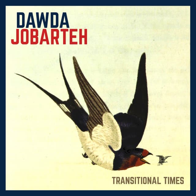 Transitional Times - Dawda Jobarteh