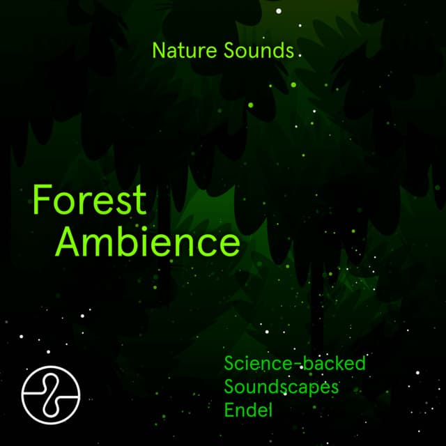 Nature Sounds: Forest Ambience - Endel