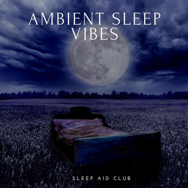 Ambient Sleep Vibes: Gentle Tunes for Rest - Sleep Aid Club