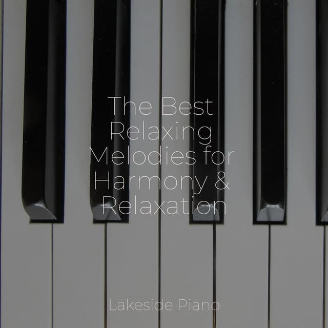 The Best Relaxing Melodies for Harmony & Relaxation - SD