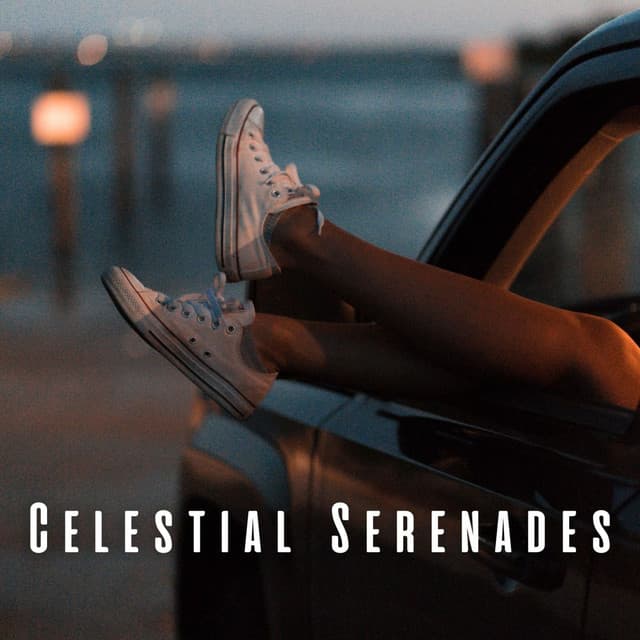 Celestial Serenades: Music for Relaxation and Harmony - Stardust Vibes