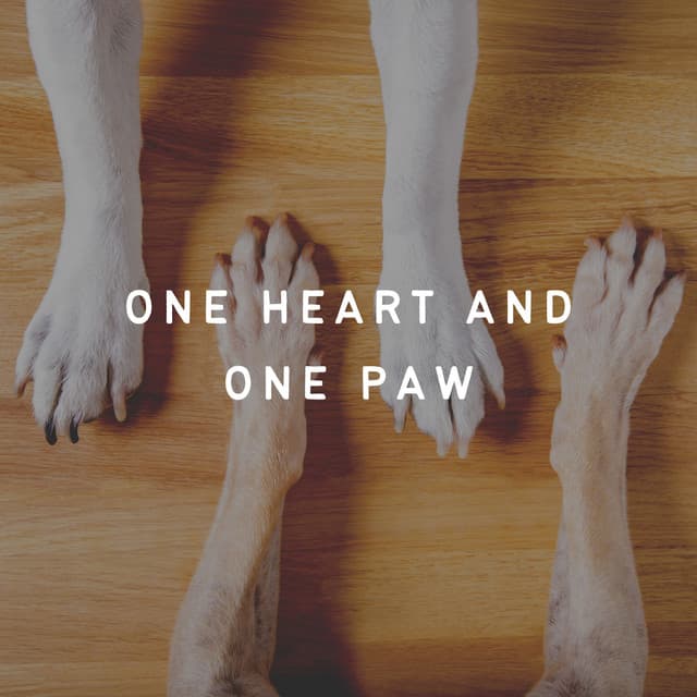One Heart and One Paw - Official Pet Care Collection