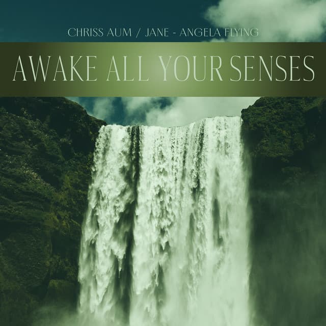 Awake All Your Senses - Chriss Aum