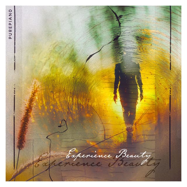 Experience Beauty - PurePiano