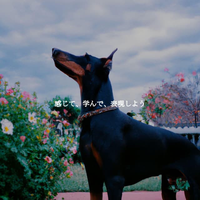 Hotel Lounge Soundtracks