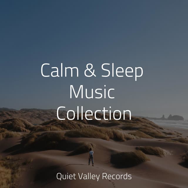Calm & Sleep Music Collection - Yoga Rain