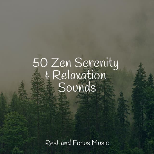 50 Zen Serenity & Relaxation Sounds - Anxiety Relief