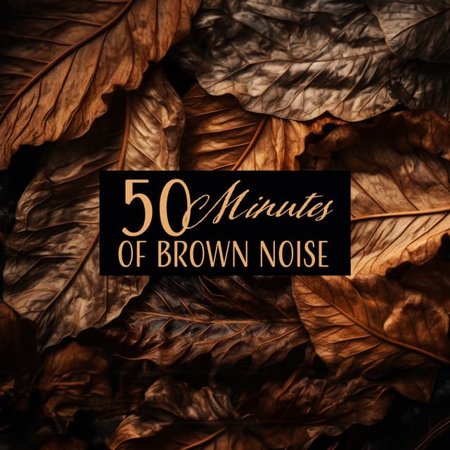 50 Minutes of Brown Noise for Anxiety and Sleep - Brown Noise Aid Sleep