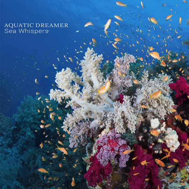 Aquatic Dreamer