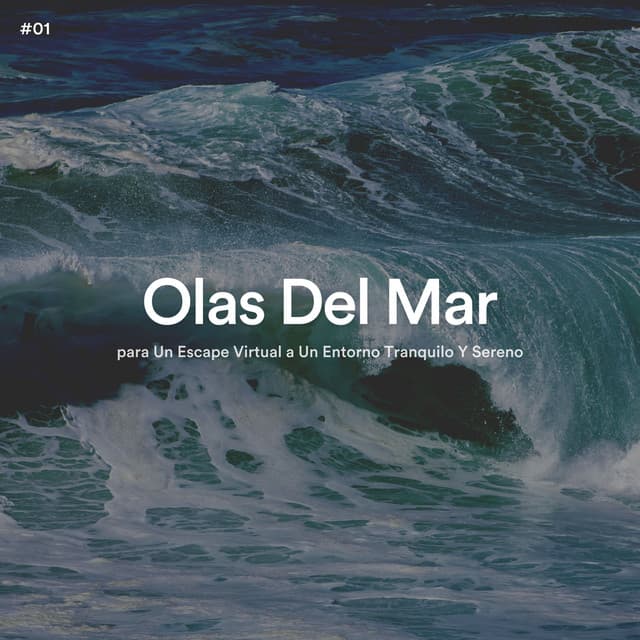 #01 Ocean Waves para Un Escape Virtual a Un Entorno Tranquilo Y Sereno - Olas del Mar