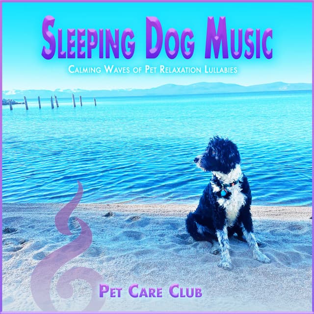 Sleeping Dog Music: Calming Waves of Pet Relaxation Lullabies - Pet Care Club