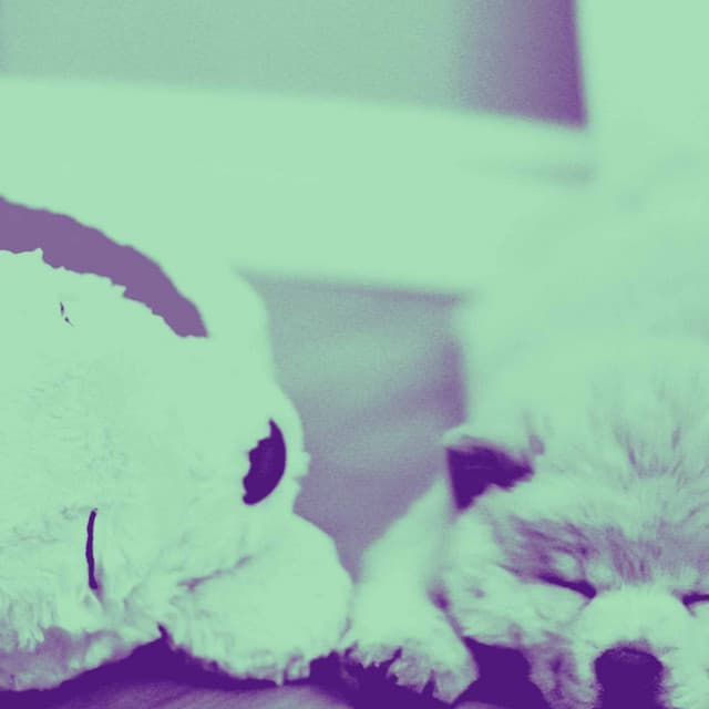 Feelings for Unwinding Doggo - Dog Calming Music