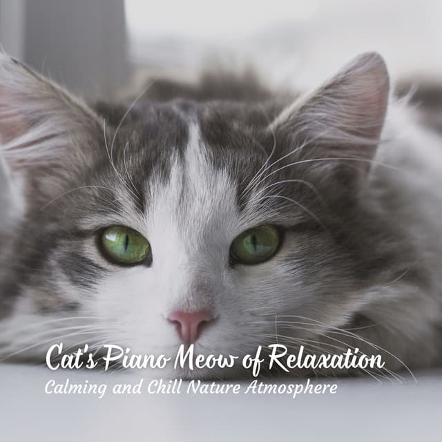 Cat's Piano Meow of Relaxation: Calming and Chill Nature Atmosphere - Jazz Piano Essentials