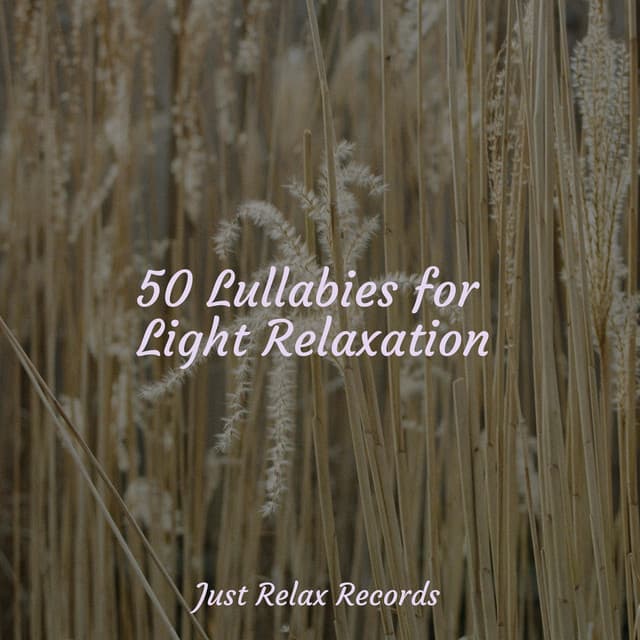 50 Lullabies for Light Relaxation - Meditation