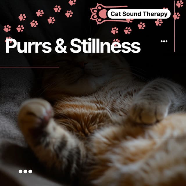 Cat Sound Therapy: Purrs & Stillness, Calming Place - Cat & Calm