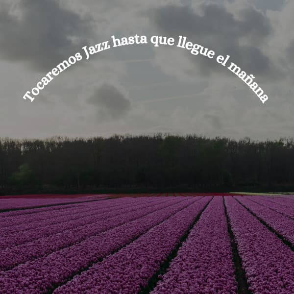 Tocaremos Jazz hasta que llegue el mañana - Toronto Coffee Shop Jazz