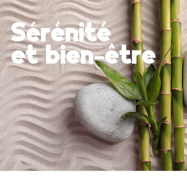 Sérénité et bien-être: Musique pour le spa, Massage, Détente - Detente Spa Musique Collection