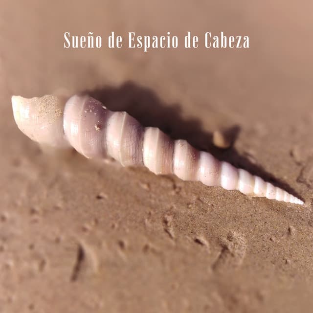 Sueño de Espacio de Cabeza - Dormir Maestro