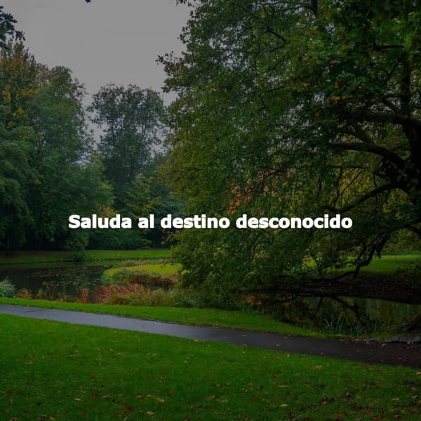 Saluda al destino desconocido - Cafetería Jazz