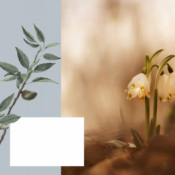 Coffee Time - Easy - Relaxing Music Playlist