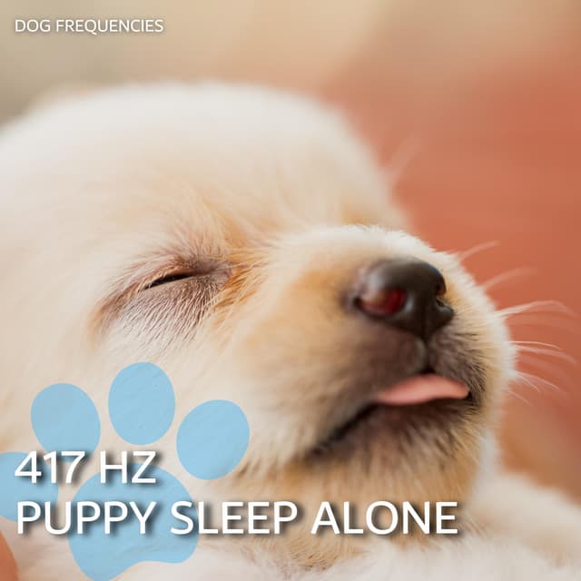 417 Hz Puppy Sleep Alone - Dog Frequencies