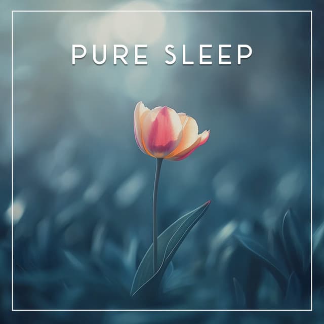 Pure White - Baby Shusher