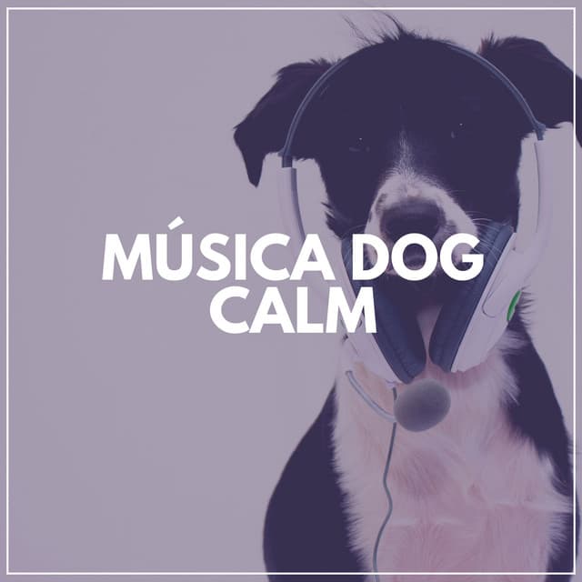 Música Dog Calm - Música de Cachorro Calmante