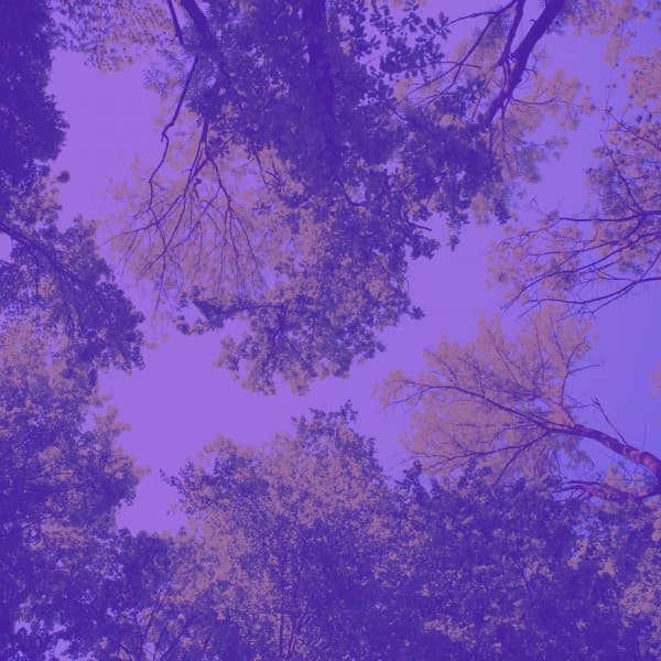 Feelings for After Hours Work - Música Ambiental para Cafés