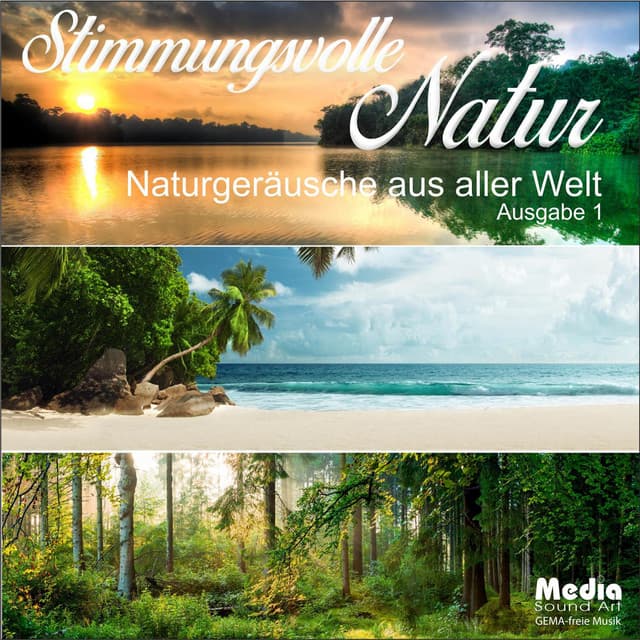 Stimmungsvolle Natur, Naturgeräusche aus aller Welt, Ausgabe 1 - Media Sound Art