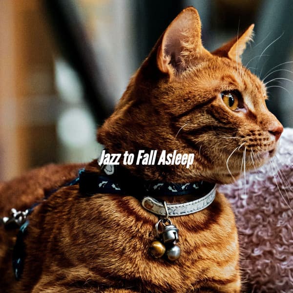 Jazz to Fall Asleep - Jazz Library Music