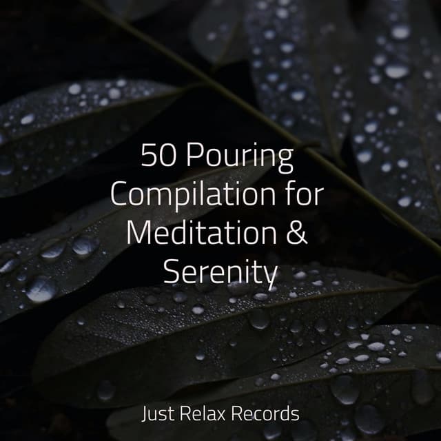 50 Pouring Compilation for Meditation & Serenity - Musica romantica instrumental