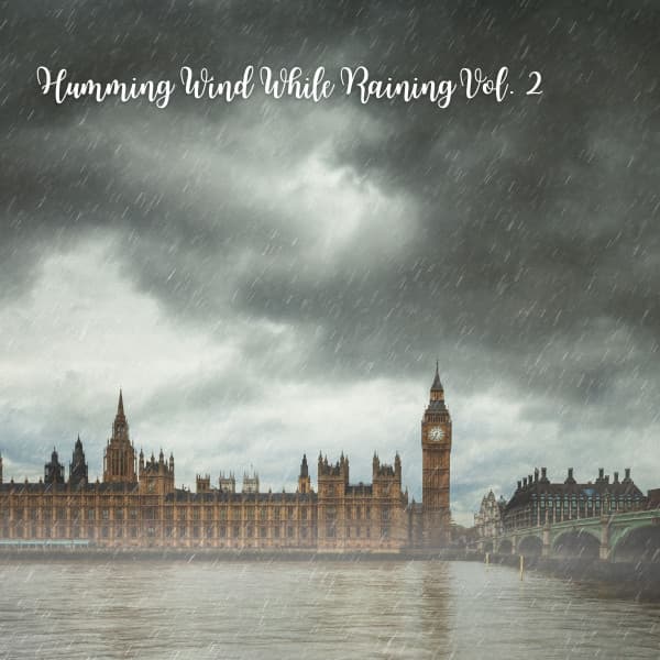 Humming Wind While Raining Vol. 2 - Natural Woodland Sounds