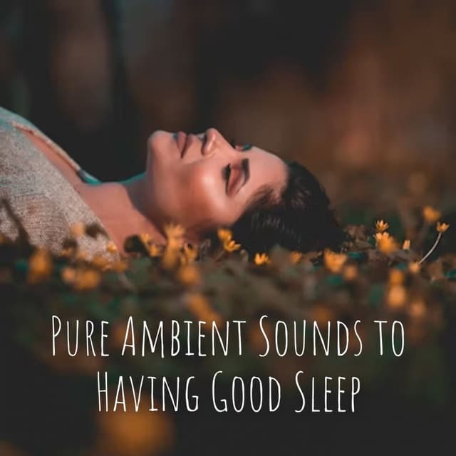 Pure Ambient Sounds to Having Good Sleep - Relax
