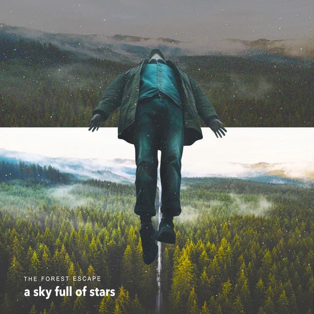 A Sky Full of Stars - The Forest Escape