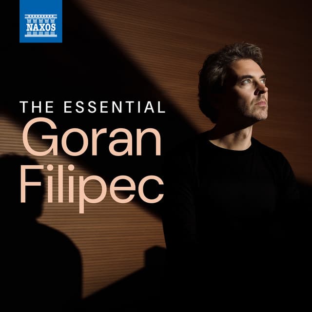 The Essential Goran Filipec - Goran Filipec