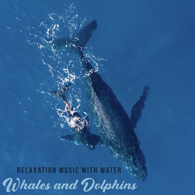 Relaxation Music with Water: Whales and Dolphin Sounds - Nature Music Sanctuary