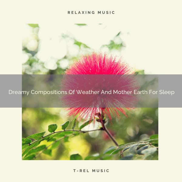 Dreamy Compositions Of Weather And Mother Earth For Sleep - Aquagirl