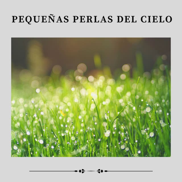 Pequeñas Perlas del Cielo - Ruido de Lluvia