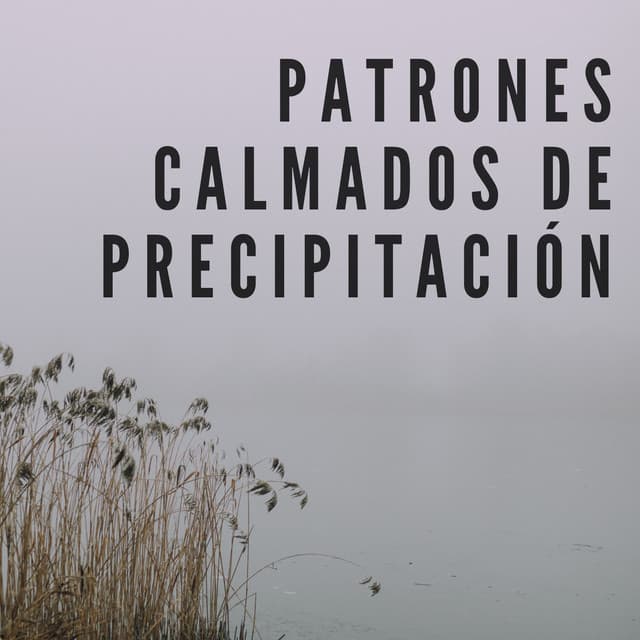 Patrones Calmados De Precipitación - Relajantes sonidos de lluvia