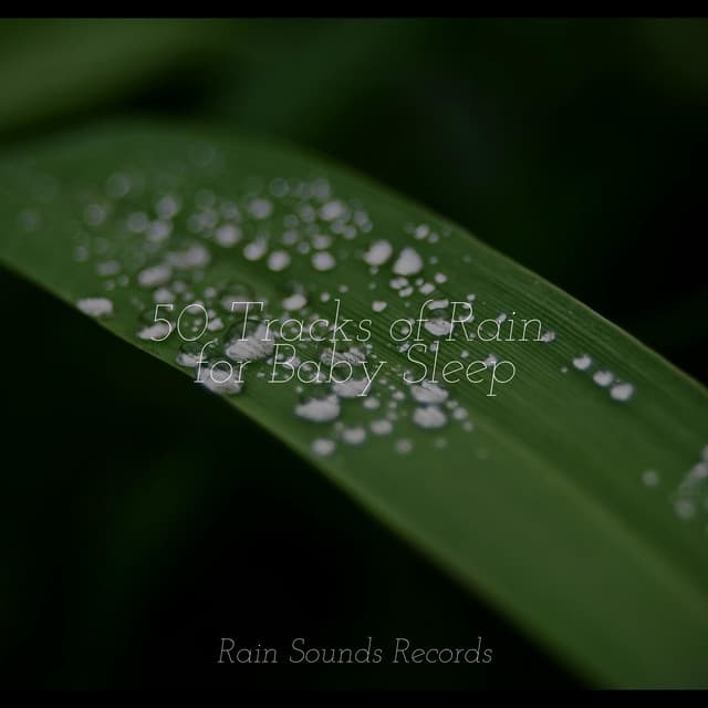 50 Tracks of Rain for Baby Sleep - Relajacion Del Mar
