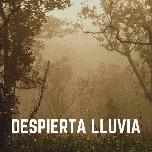 Despierta Lluvia - Sonidos De Lluvia