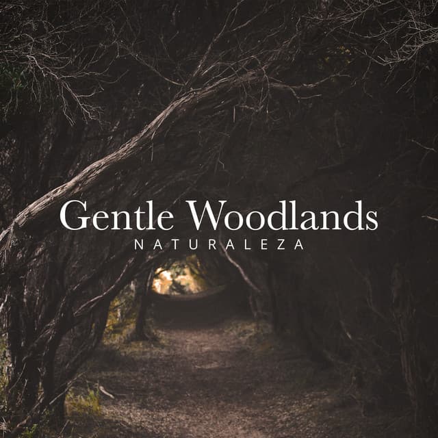 Gentle Woodlands - Naturaleza