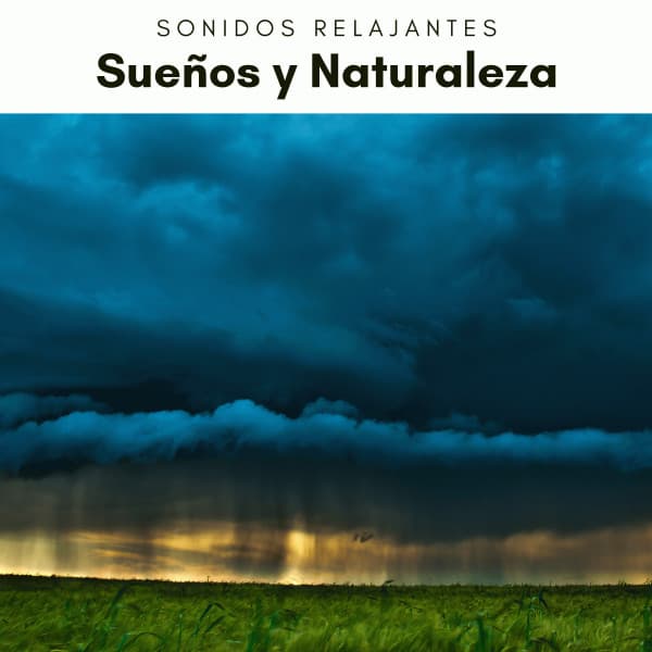 1 Sueños y Naturaleza - Sonidos De Truenos y Lluvia