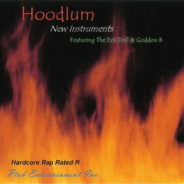 New Instruments - Hoodlum